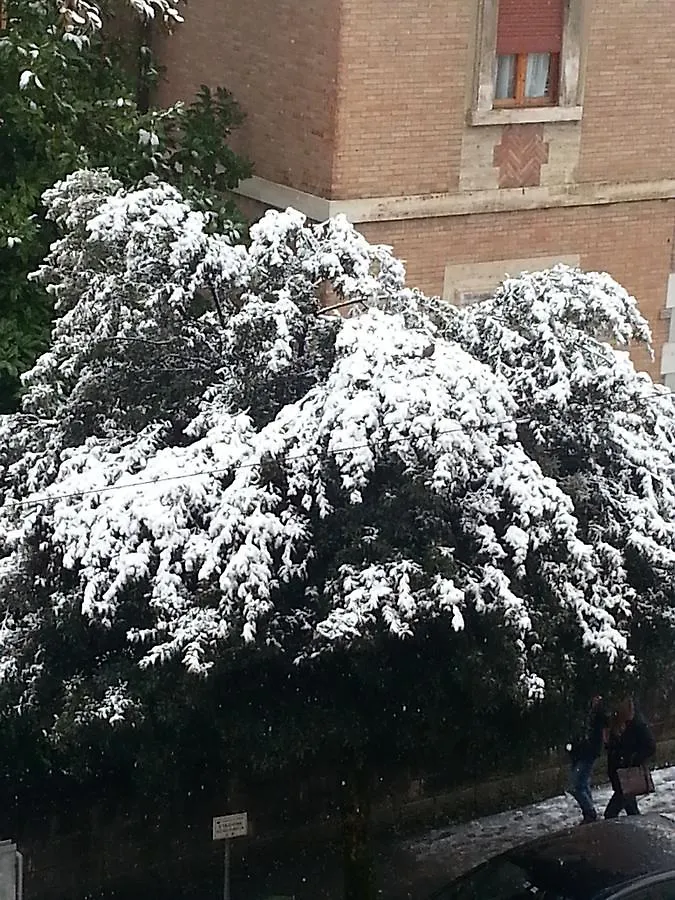 Affittacamere Soggiorno Iris Hotel Siena